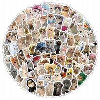Naklejki Koty 100 Szt Cute Wodoodporne, Naklejki Na Telefon Laptop Śmieszne