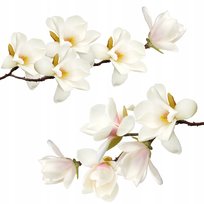 naklejki na ścianę BIAŁA MAGNOLIA 50x100cm