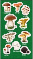 Naklejki Ranok Creative Grzyby Jadalne 10Szt