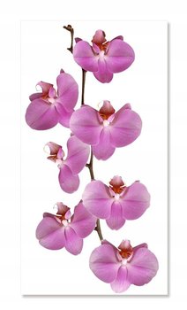 Naklejki ścienne kwiaty 100cm Orchidea 2, 100x50 cm - Naklejkolandia