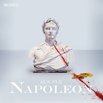 Napoleon ALX FLX