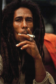 Naprasowanka Bob Marley reggae muzyka 1 - Zebra