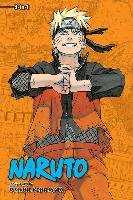 Naruto (3-in-1 Edition), Vol. 22 - Kishimoto Masashi