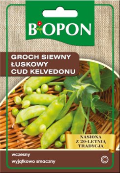 Nasiona Biopon - Groch Siewny Łuskowy Cud Kelvedonu 40G - BIOPON