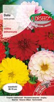 Nasiona Dalia pełna i półpełna mieszanka 1g - Torseed