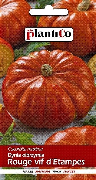 Chrestensen Riesenkürbis-Saatgut 'Rouge Vif D'Etampes' – Dekorativ & Haltbar, Für Garten
