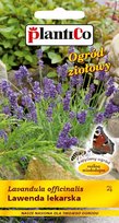 NASIONA Lawenda Lekarska 0,2g PLANTICO Miododajna 424074