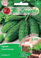 Nasiona Ogórek Octopus F1 5m taśma - W.Legutko