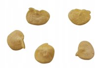 Nasiona Papryka Okrasny Zvonek Chińska Ostra