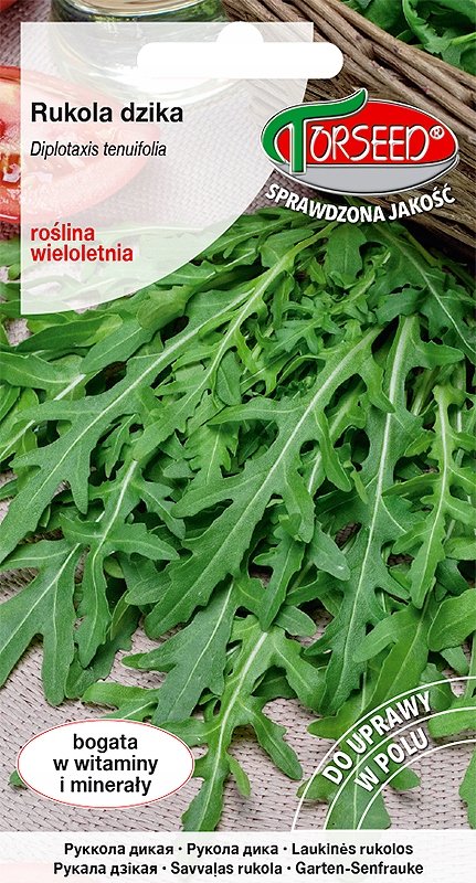 nasiona Rukola dzika Diplotaxis tenuifolia 0,5 g - Torseed - Torseed ...