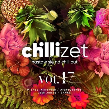 Nastaw się na chill out, Vol. 17 - Various Artists