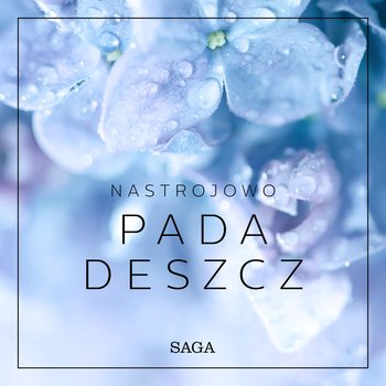 Nastrojowo - Pada deszcz - Broe Rasmus