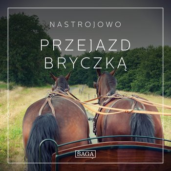 Nastrojowo - Przejazd Bryczką - Broe Rasmus