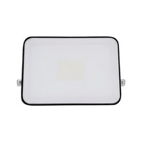 Naświetlacz ZORAN LED bezramkowy, 10W, 4000K barwa neutralna, 735lm, IP65, 220-240V EDO777675 EDO Solutions