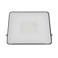 Naświetlacz ZORAN LED bezramkowy, 30W, 4000K barwa neutralna, 2520lm, IP65, 220-240V EDO777677 EDO Solutions