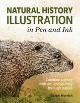 Natural History Illustration in Pen and Ink: Combine science with art, and journey through nature Sarah Morrish