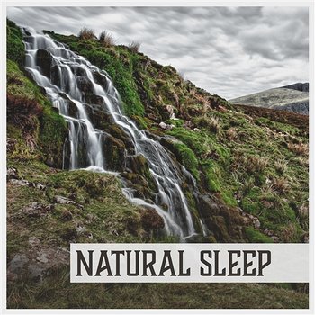 Natural Sleep – Calm Music for Deep Sleep, Sleep Therapy, Tranquility, Peace, Relaxation, Sound of Nature for Sleep - Insomnia Cure Music Society