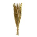 Naturalny bukiet suszonych kwiatów i trawy boho 75cm - Decohome