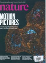 Nowości - tygodniki