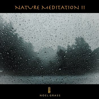 Nature Meditation II - Noel Grass