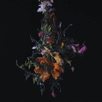 Nature Morte Big Brave