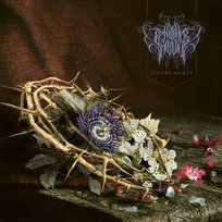 Nature Morte Penitence Onirique