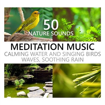 Nature Sounds Meditation Music: Calming Water and Singing Birds, Waves, Soothing Rain, Beach, Waterfall, Rainforest, Tropical Spa Surf - Calming Water Consort