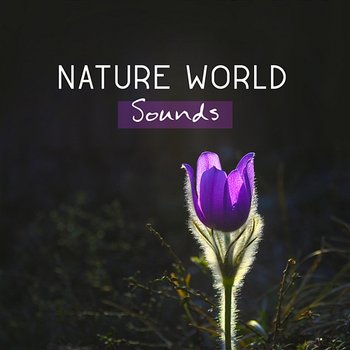 Nature World Sounds – Peaceful Music for Rest, Thinking and Take a Deep Breathe of Life, Exam Study - Ultimate Music Academy