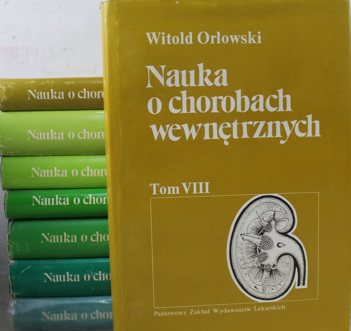Nauka O Chorobach Wewnętrznych Witold Orłowski www.empik.com