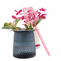 Nawadniający Tulipan Do Kwiatów Donic 1 Szt 160Ml Różowy Nawadniacz Ozdobny