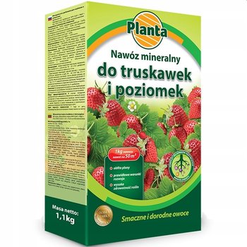 Nawóz Planta 1Kg Do Truskawek I Poziomek /5 Promo +100G  - Planta