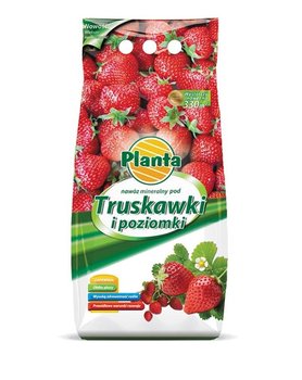 Nawóz pod truskawki i poziomki 10 kg Planta 4380 - Planta sp. z o. o.