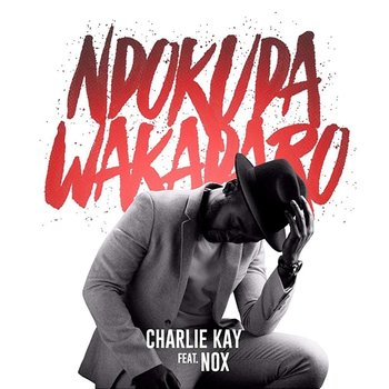 Ndokuda Wakadaro - Charlie Kay feat. Nox