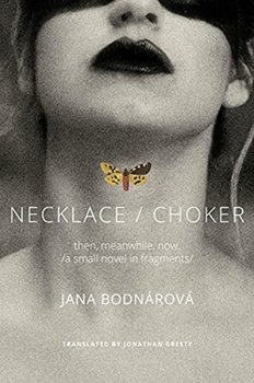 NecklaceChoker - Jana Bodnarova