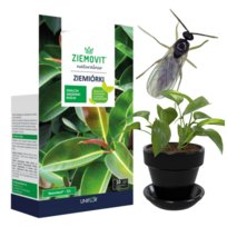 Neemazal 10ml ziemiórki Ziemovit