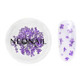 NEONAIL Ozdoba do paznokci suszone kwiaty 06 - VIOLET - NEONAIL