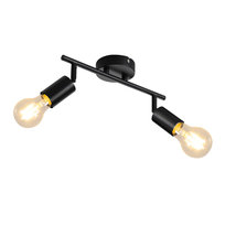 NETTLIFE Czarna lampa sufitowa 2 żarówki Punktowy sufitowy E27 vintage, regulowany 350°, przemysłowy