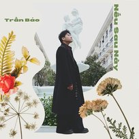 Nếu Sau Này US TEAM, Trần Bảo