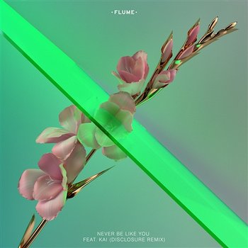 Never Be Like You (Disclosure Remix) - Flume feat. Kai