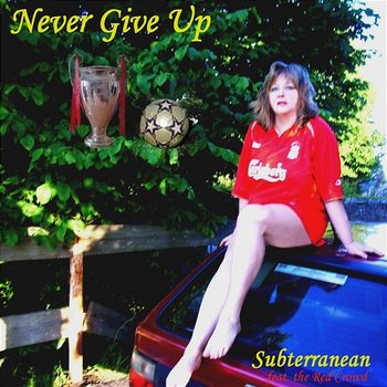 Never Give Up - Subterranean feat. The Red Crowd