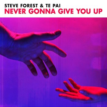 Never Gonna Give You Up - Steve Forest, Te Pai