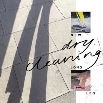 New Long Leg, płyta winylowa - Dry Cleaning