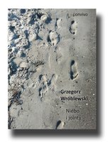 Niebo i jointy Wróblewski Grzegorz