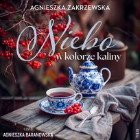 Nowości i bestsellery audiobooki