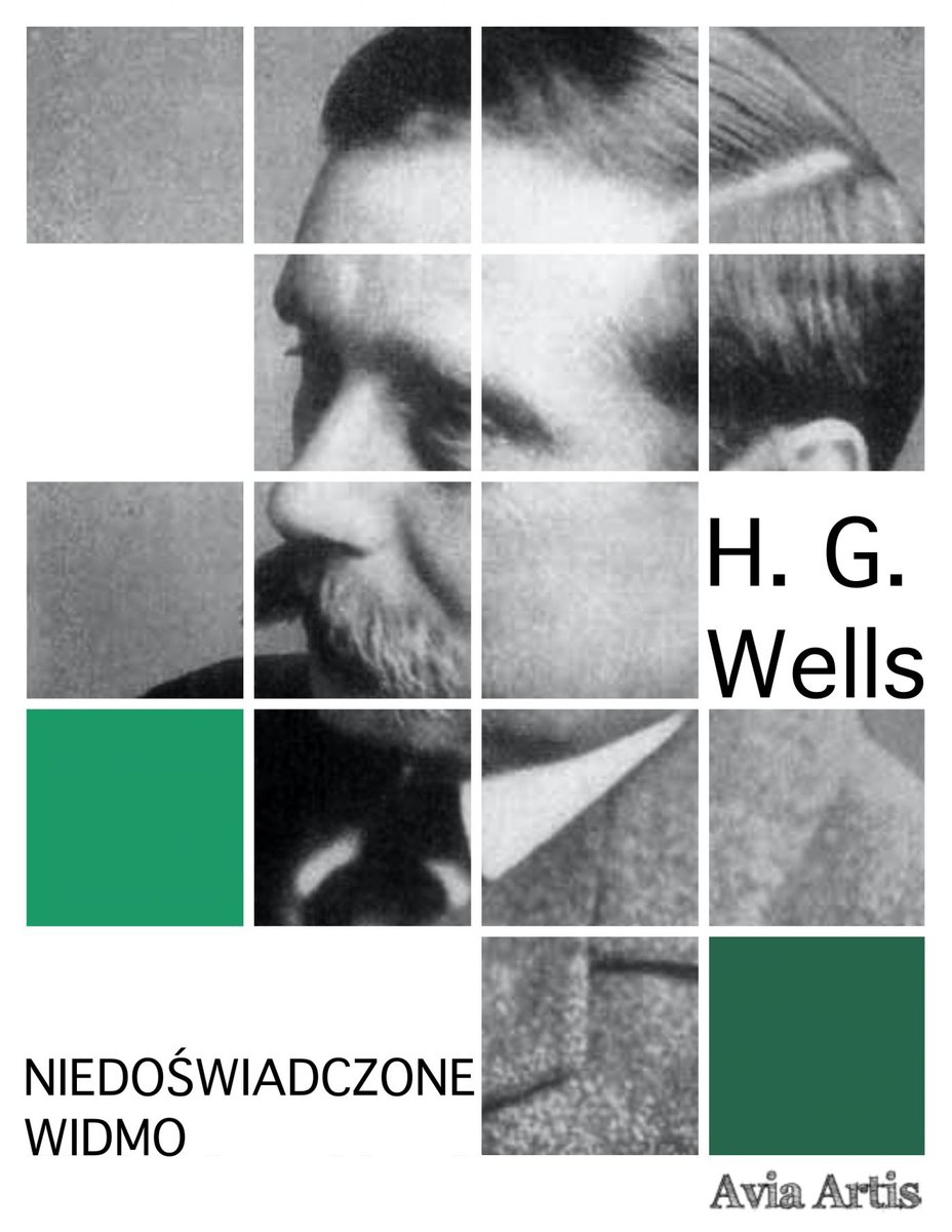 Niedoświadczone widmo - ebook mobi