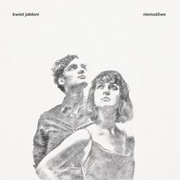 Niemożliwe, płyta winylowa