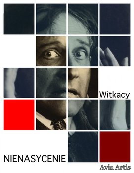 Nienasycenie - ebook epub - Witkiewicz Stanisław Ignacy