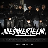 Nieśmiertelni Tom1, Daniel Dym KNF, Robson Pro