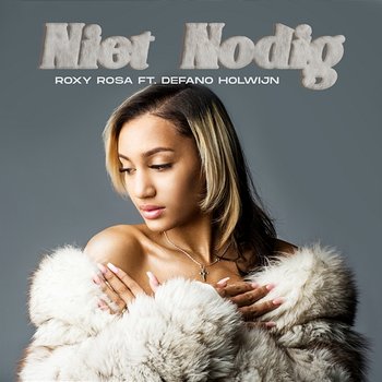 Niet Nodig (feat. Defano Holwijn) - Roxy Rosa, Défano Holwijn