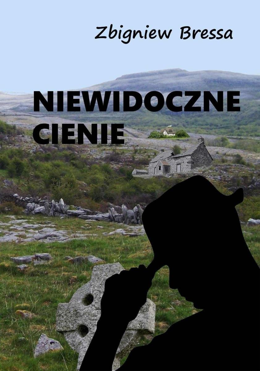 Niewidoczne cienie - ebook epub